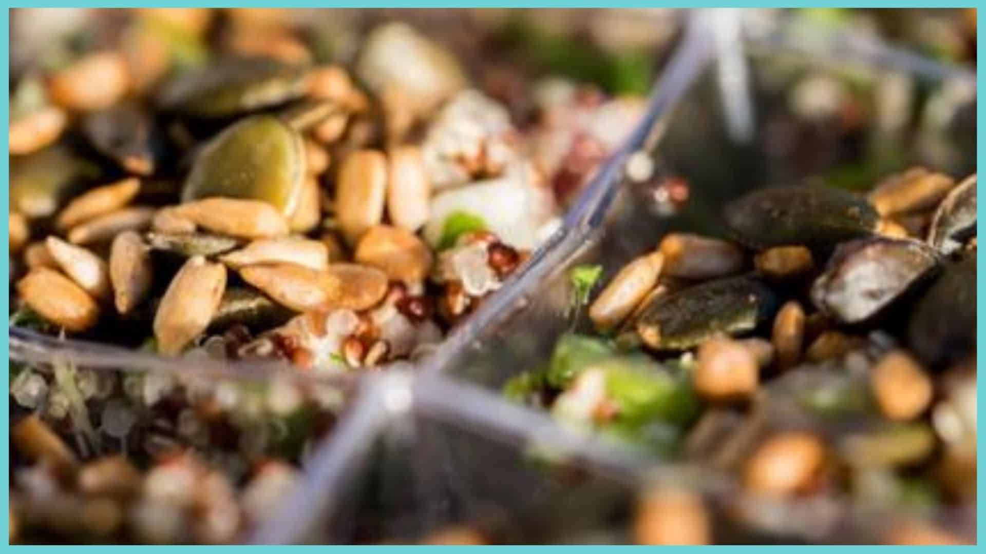 מגשי אירוח ללא גלוטן – הפתרון לכל אירוע - ארטייסט